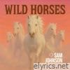 Wild Horses - Single