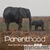 Go Steady (From BBC's Parenthood) - Single