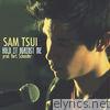 Sam Tsui - Hold It Against Me - Single