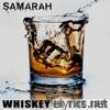 Whiskey in the Jar (Single Version) - Single