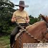 Meu Cavalo Companheiro - Single