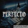 Nunca Pude Ser Perfecto - Single