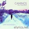 Caminos (Misa Thing Remix) - Single
