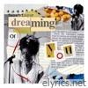 Dreaming of You - Single