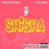 Saucy Santana & City Girls - Shisha - Single