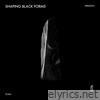 Shaping Black Forms - EP