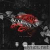 Accumbens - EP