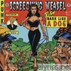 Screeching Weasel - Bark Like a Dog