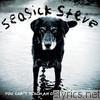 Seasick Steve - You Can't Teach an Old Dog New Tricks