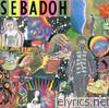 Sebadoh - Smash Your Head on the Punk Rock