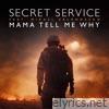 Mama Tell Me Why (feat. Mikael Erlandsson) - Single