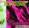 Semisonic - Pleasure