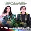 Y Me Llegaste Tú - Single