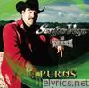 Puros Corridos y Rancheras