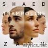 Shaed & Zayn - Trampoline - Single