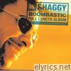 Shaggy - Boombastic