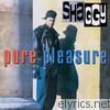 Shaggy - Pure Pleasure