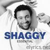 Essential: Shaggy