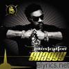 Shaggy - Intoxication