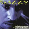 Shaggy - Midnite Lover