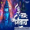 Om Namah Shivay - EP