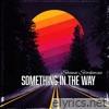 Something in the Way - Single