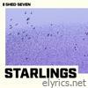 Starlings - Single