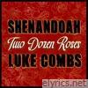 Shenandoah & Luke Combs - Two Dozen Roses