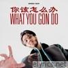 What You Gon Do 你该怎么办 - Single