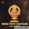 Amma Nenu Poyi Vastane - Single