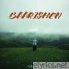 Baarishen - Single