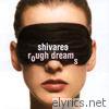 Shivaree - Rough Dreams