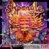 Shpongle - Museum of Consciousness