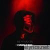Remnants: Dark Side