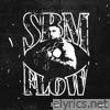 SBM Flow - Single