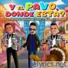 Y El Pavo, Donde Esta? (feat. Raymond Pozo & Miguel Cespedes) - Single