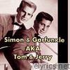 Simon & Garfunkel AKA Tom & Jerry