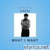 WHAT I WANT - Single