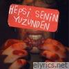 Hepsi Senin Yüzünden - Single