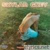 Skylar Grey lyrics