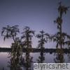 Mossy - Single