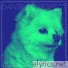 Danse et respect - Single