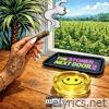 The Stoner Next Door 2