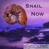 Snail Now
