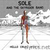 Sole & The Skyrider Band - Hello Cruel World