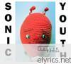 Sonic Youth - Dirty (Deluxe Edition) [Remastered]