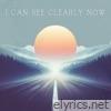 I Can See Clearly Now - Single