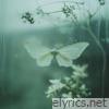 all we've got / all we've ever had - Single