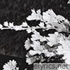 hard drive songs - Single