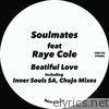 Beatiful Love (feat. Raye Cole)